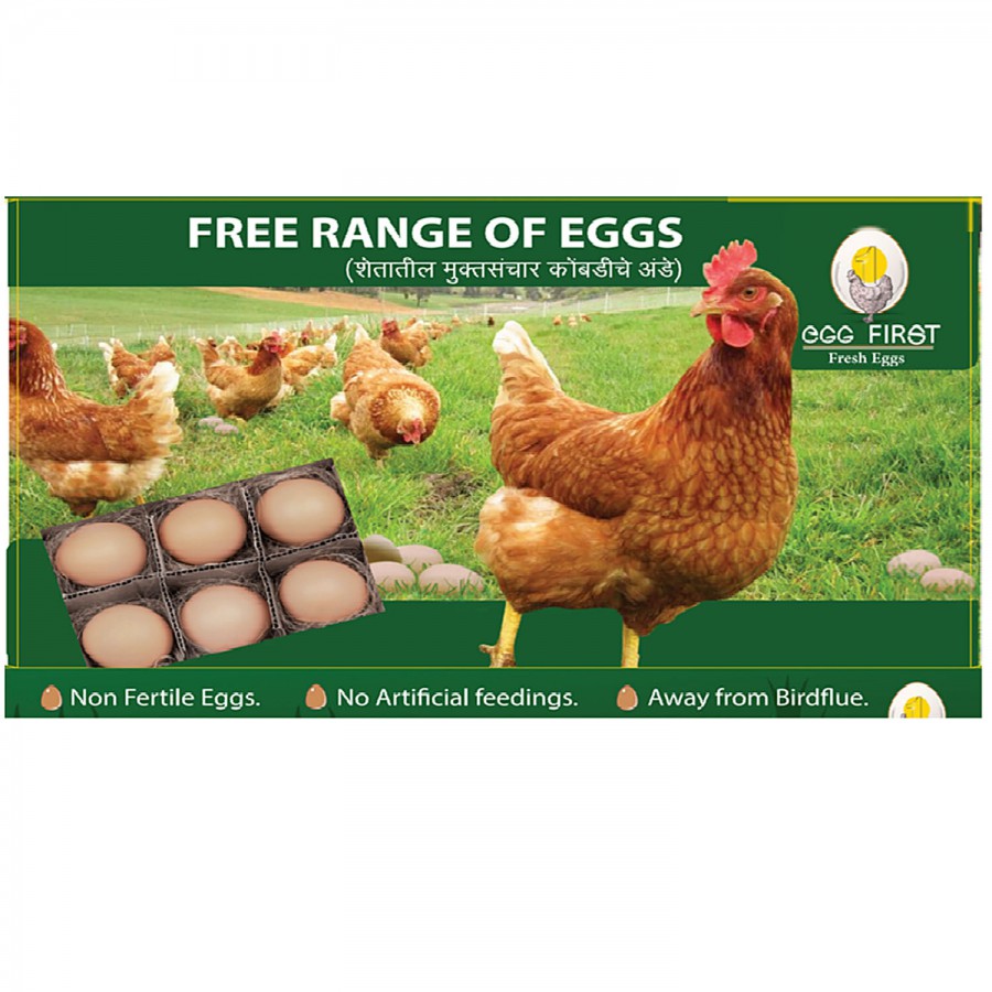 Egg First Free Range Eggs