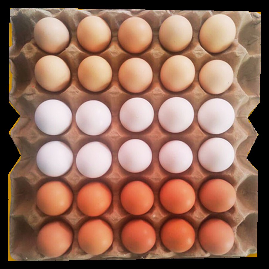 Naatis Mix Combo Eggs