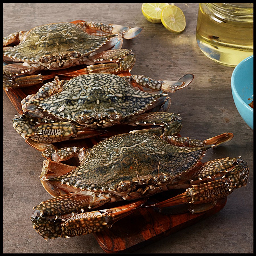 fresho! Blue Crab - Medium