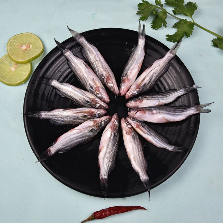 fresho! Kolkata/Bengali Desi Tengra Fish - Whole