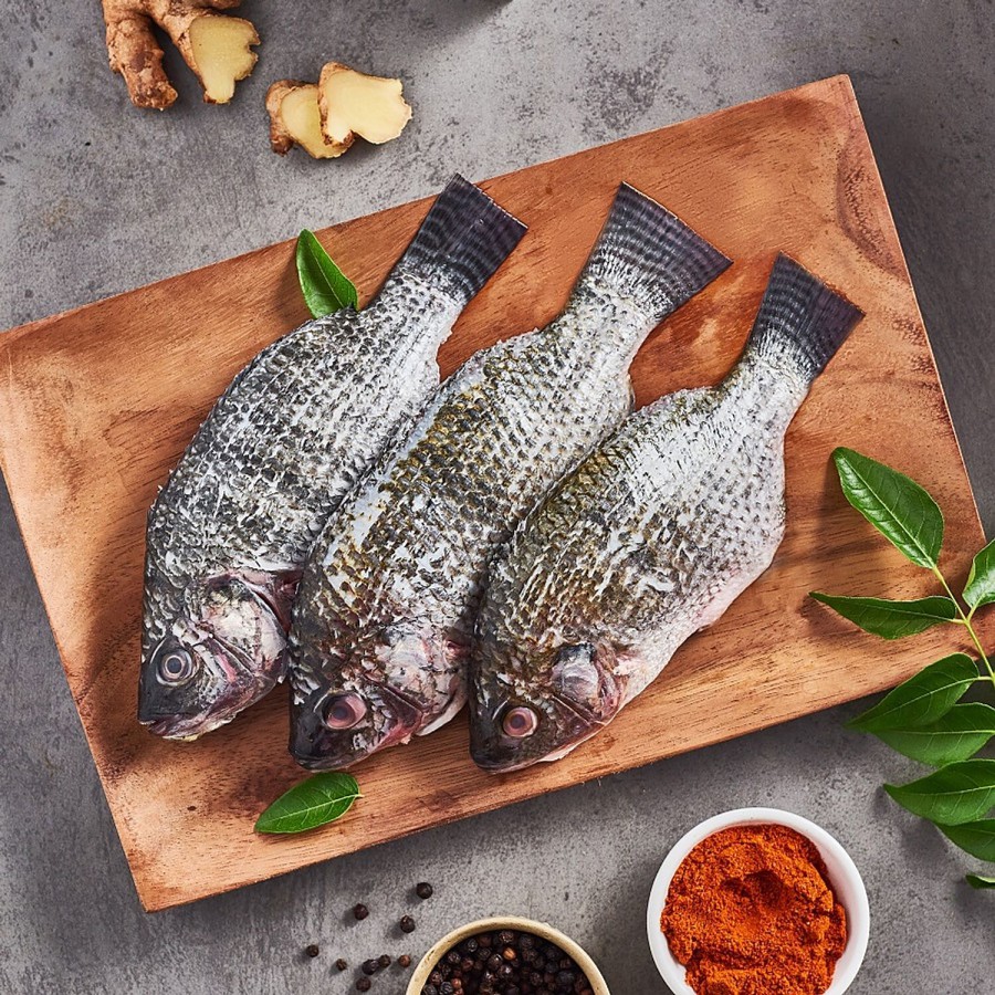 fresho! Tilapia Fillet - Fresh & Flavourful