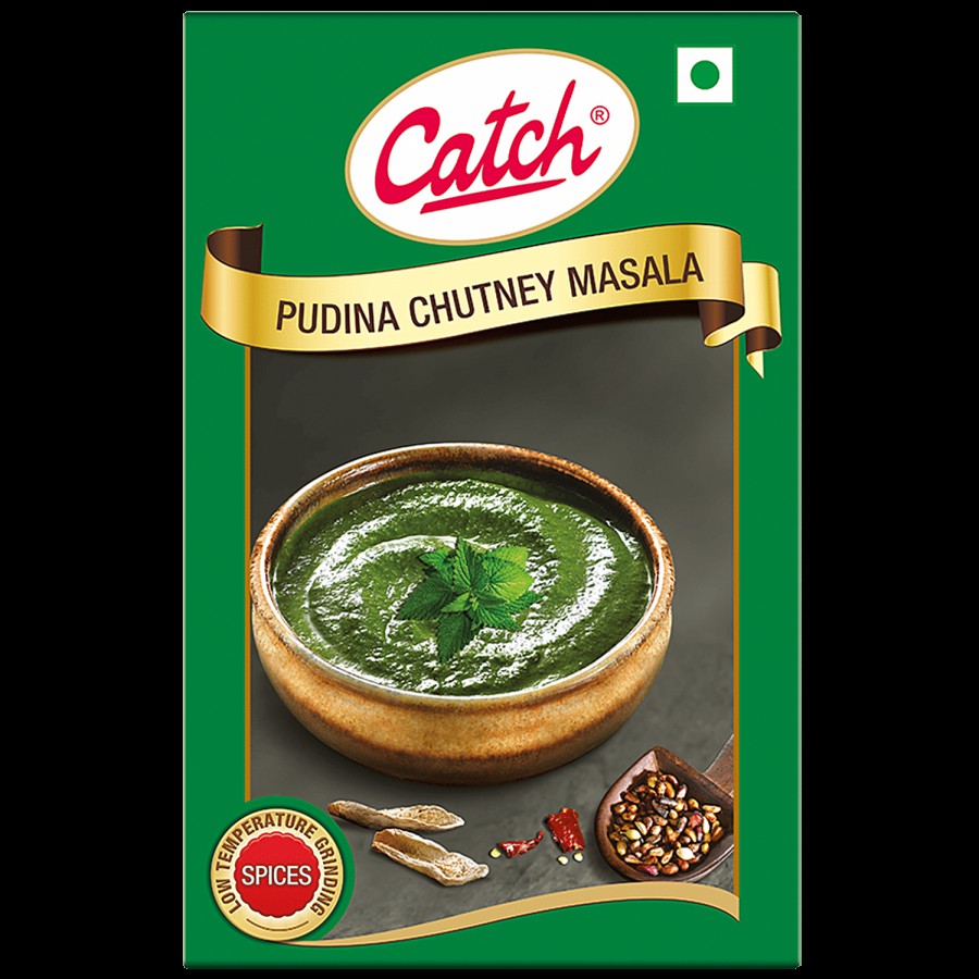 Catch Pudina Chutney Masala - Enhances Flavour