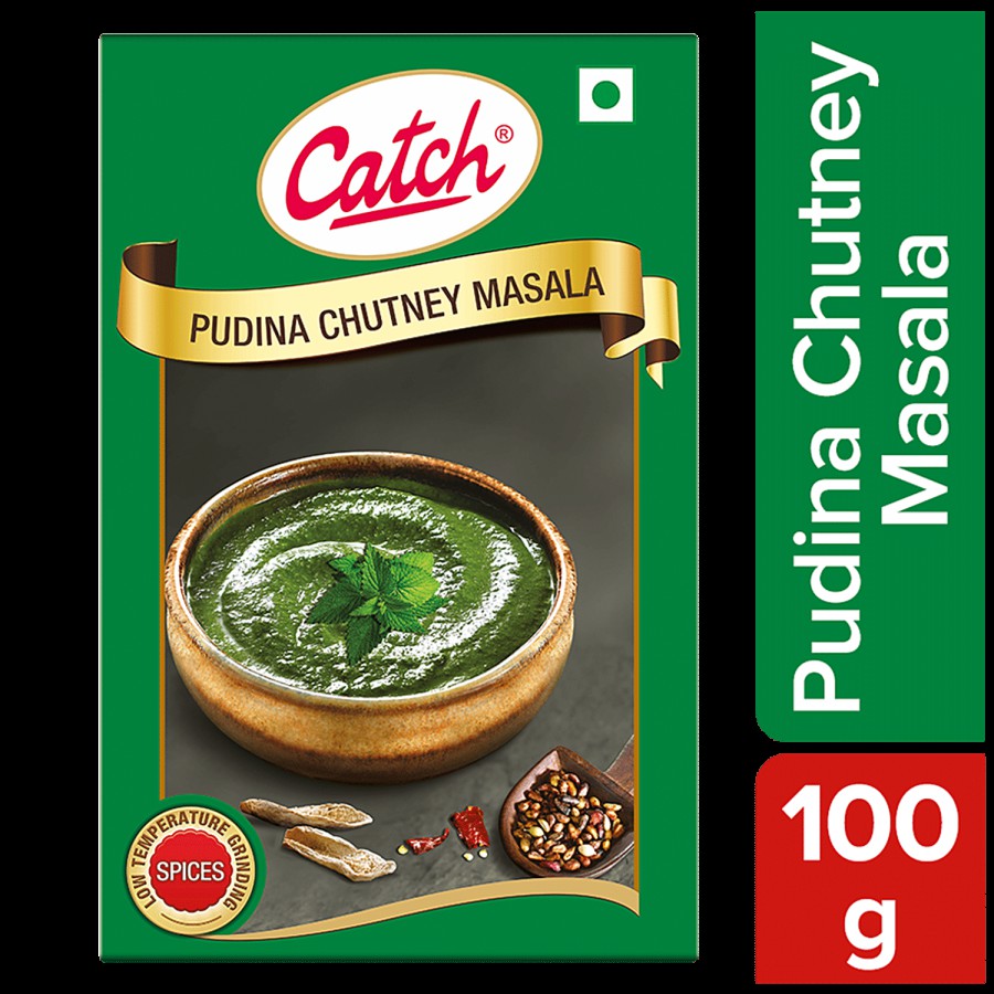 Catch Pudina Chutney Masala - Enhances Flavour