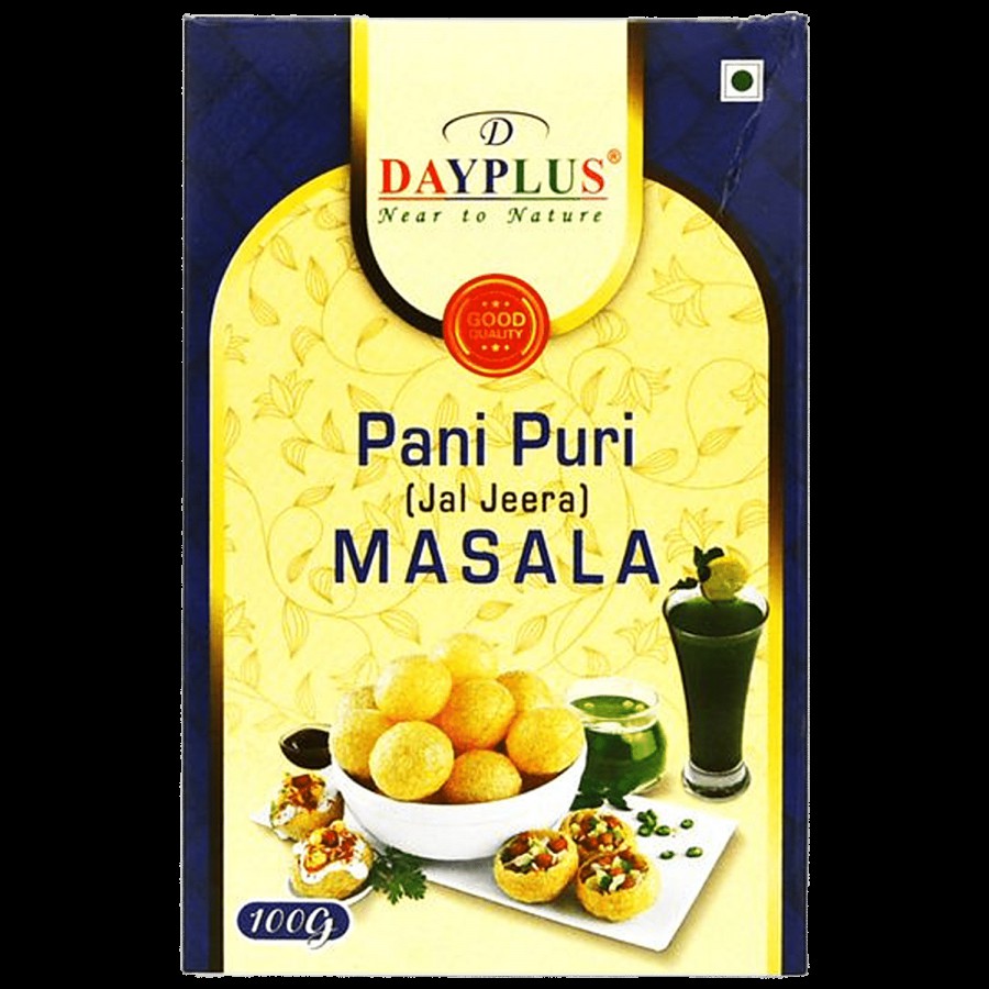 DAYPLUS Pani Puri/Jal Jeera Masala