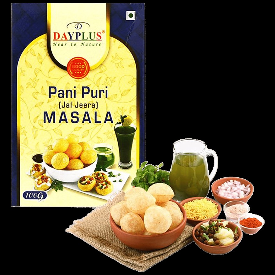 DAYPLUS Pani Puri/Jal Jeera Masala