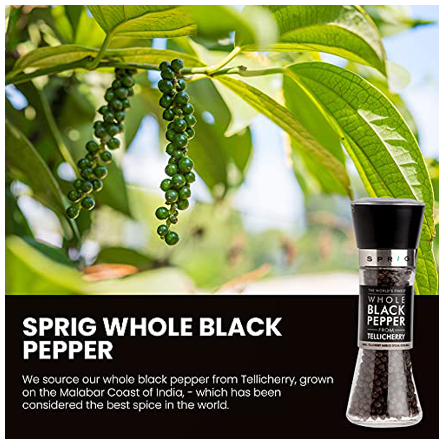 Sprig Gourmet Black Pepper Grinder - World's Finest