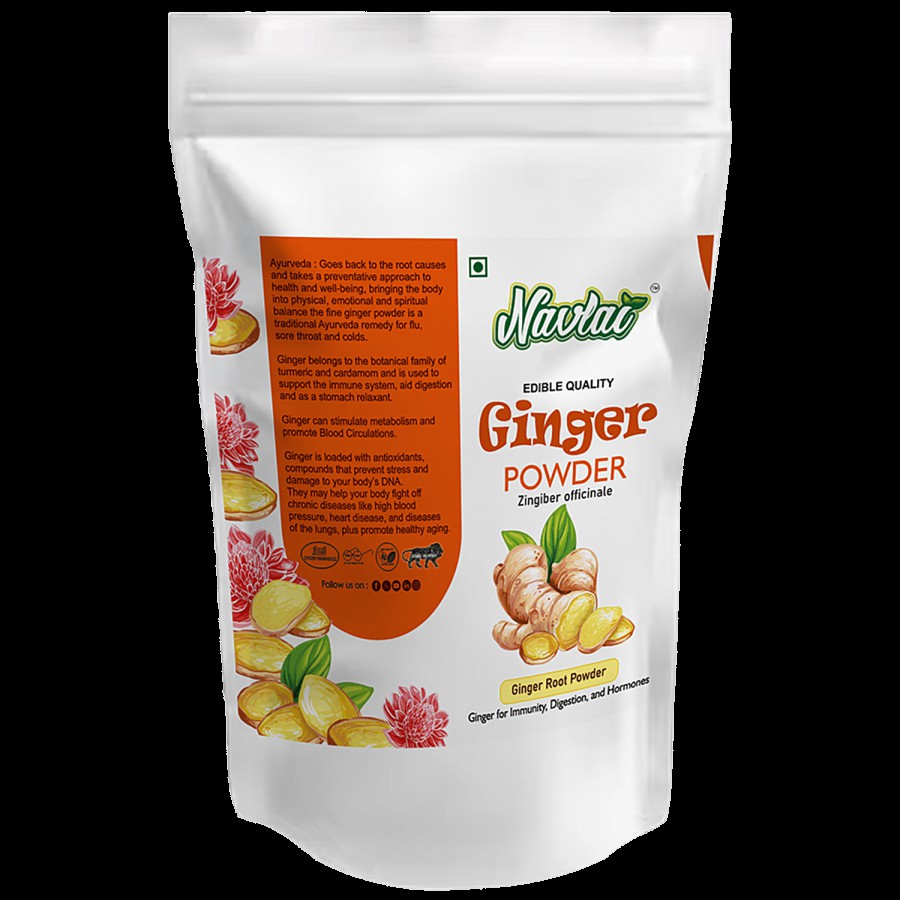 Navlai Dry Ginger Powder