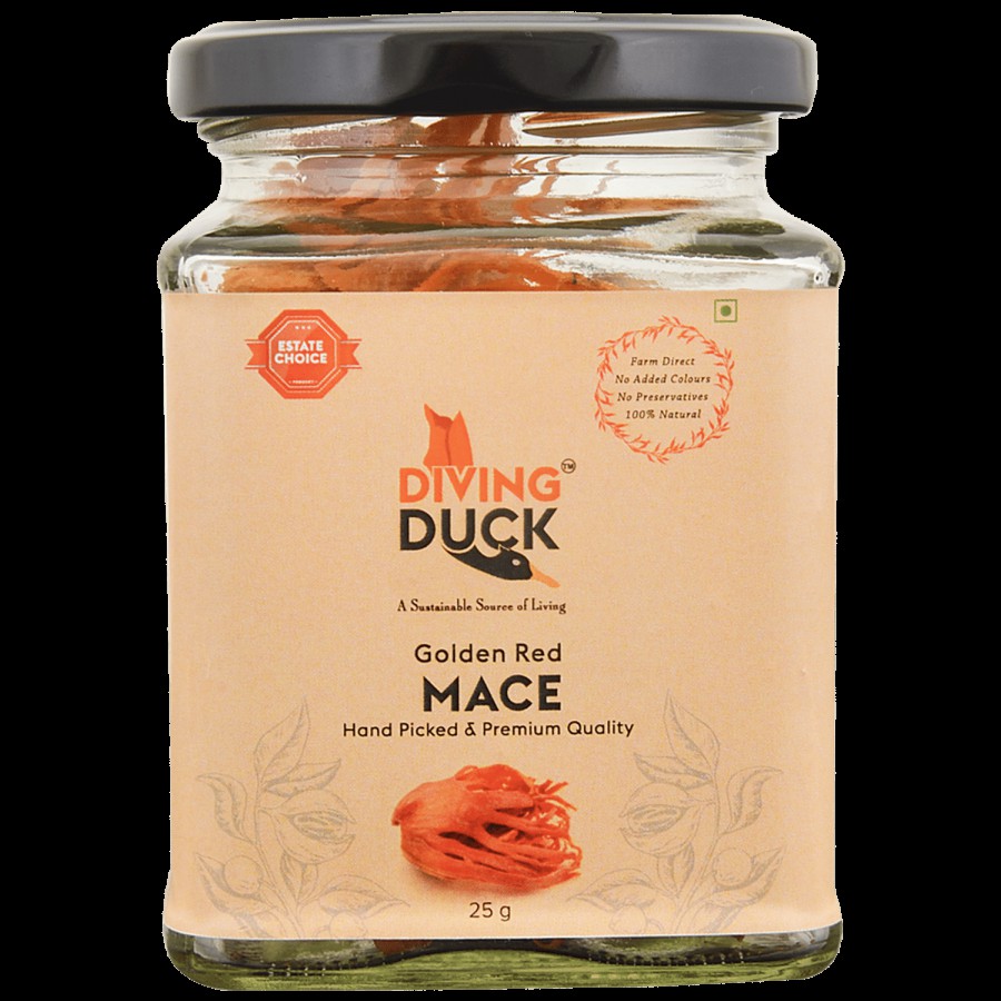 DIVING DUCK Golden Red Mace - Handpicked