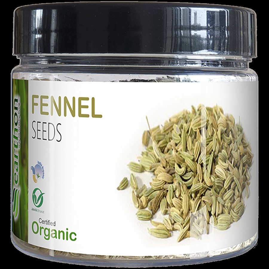 Earthon Organic Fennel Seeds/Sauf