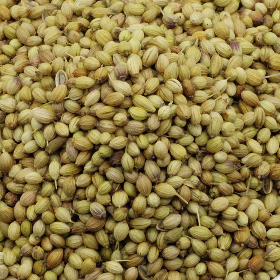 bb SUPER SAVER Coriander/Dhania Seeds