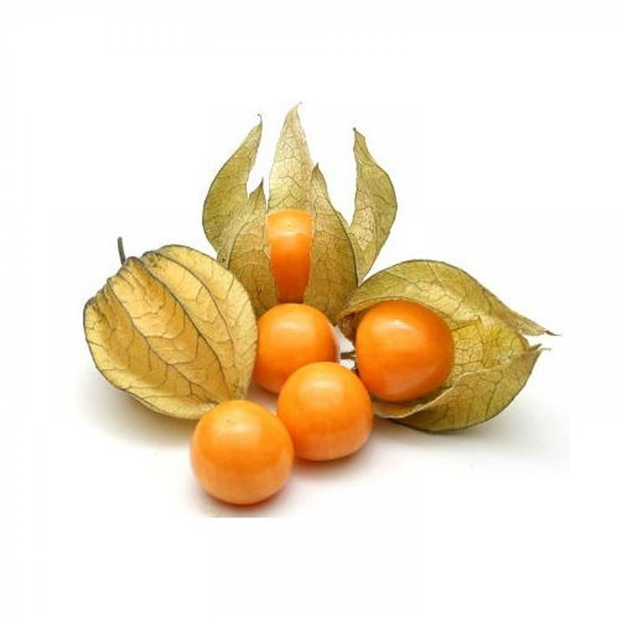 fresho! Cape Gooseberry