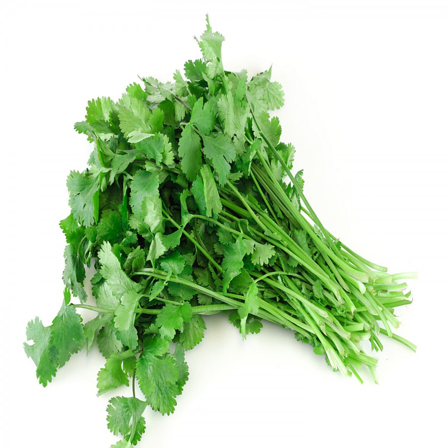 fresho! Coriander - Hydroponically Grown