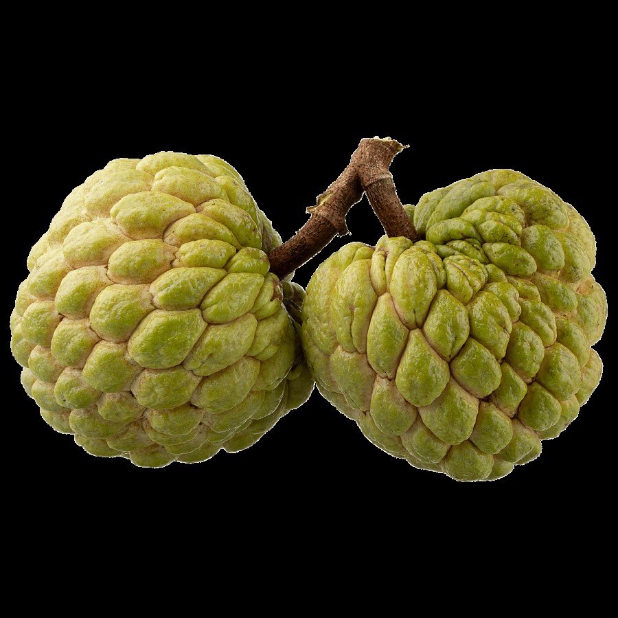 fresho! Custard Apple Golden