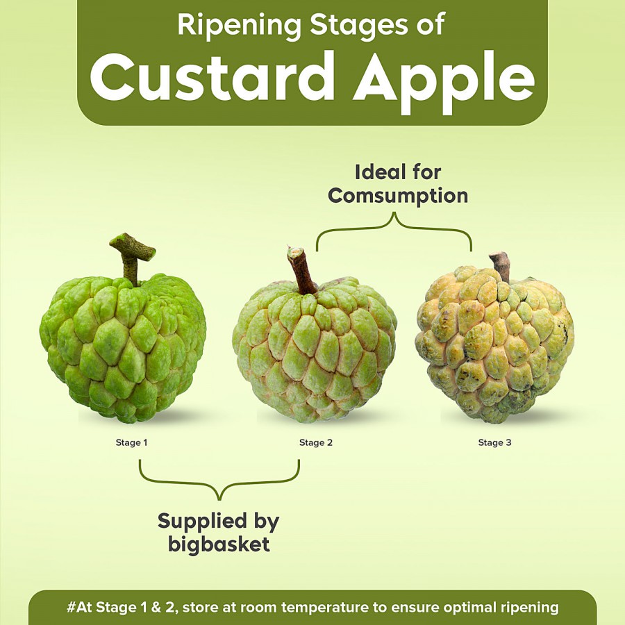 fresho! Custard Apple - Premium