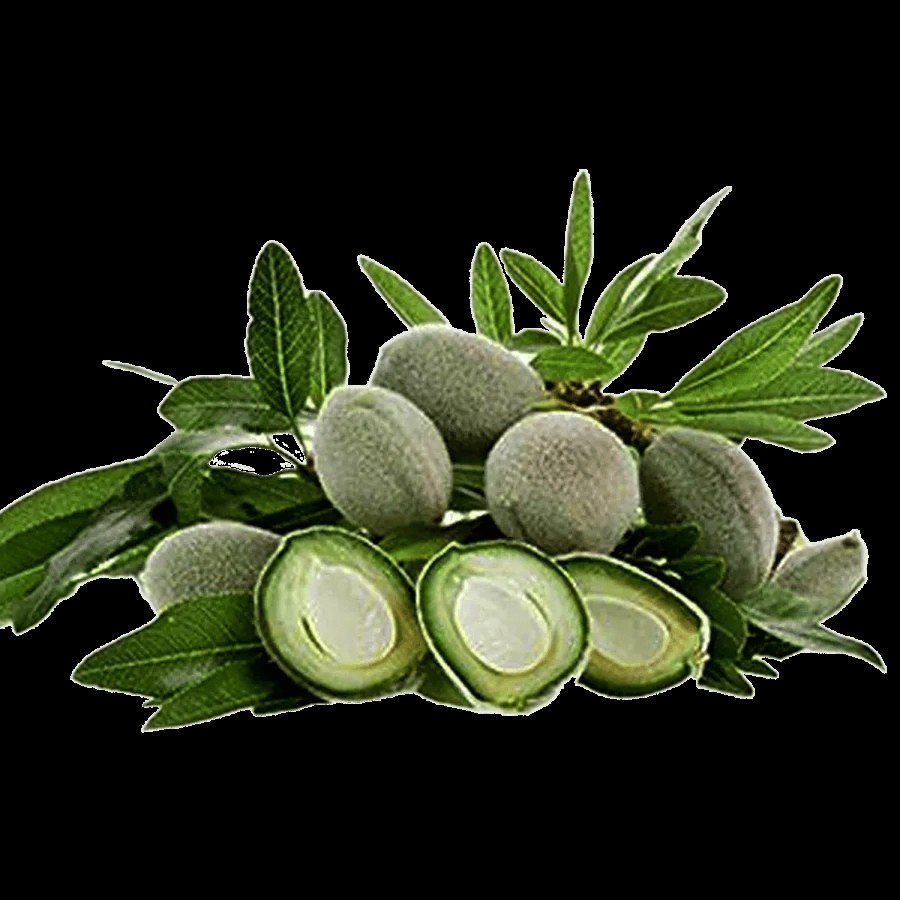 fresho! Fresh Almonds Green