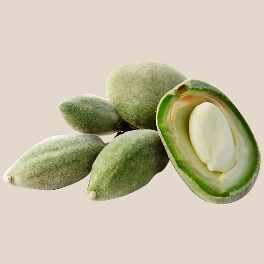 fresho! Fresh Almonds Green