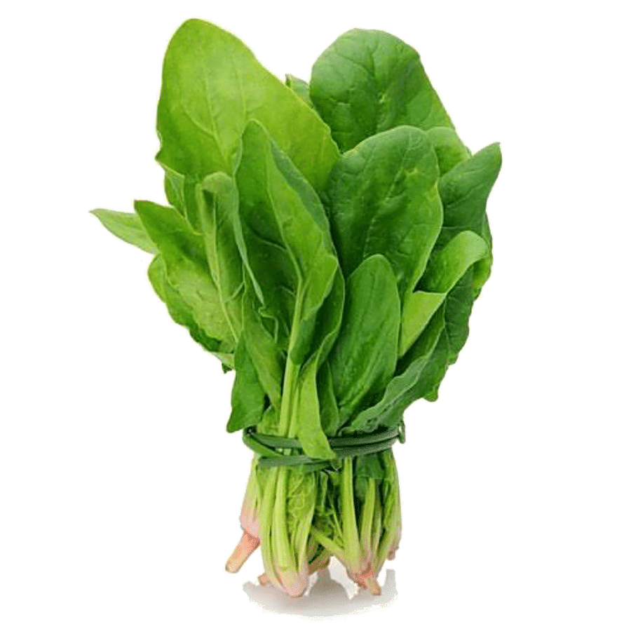 Farmogo Spinach - Hydroponically Grown