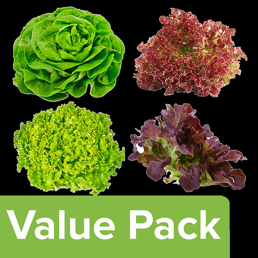 Simply Fresh Fresh Lettuce Mix Box - Hydroponically Grown