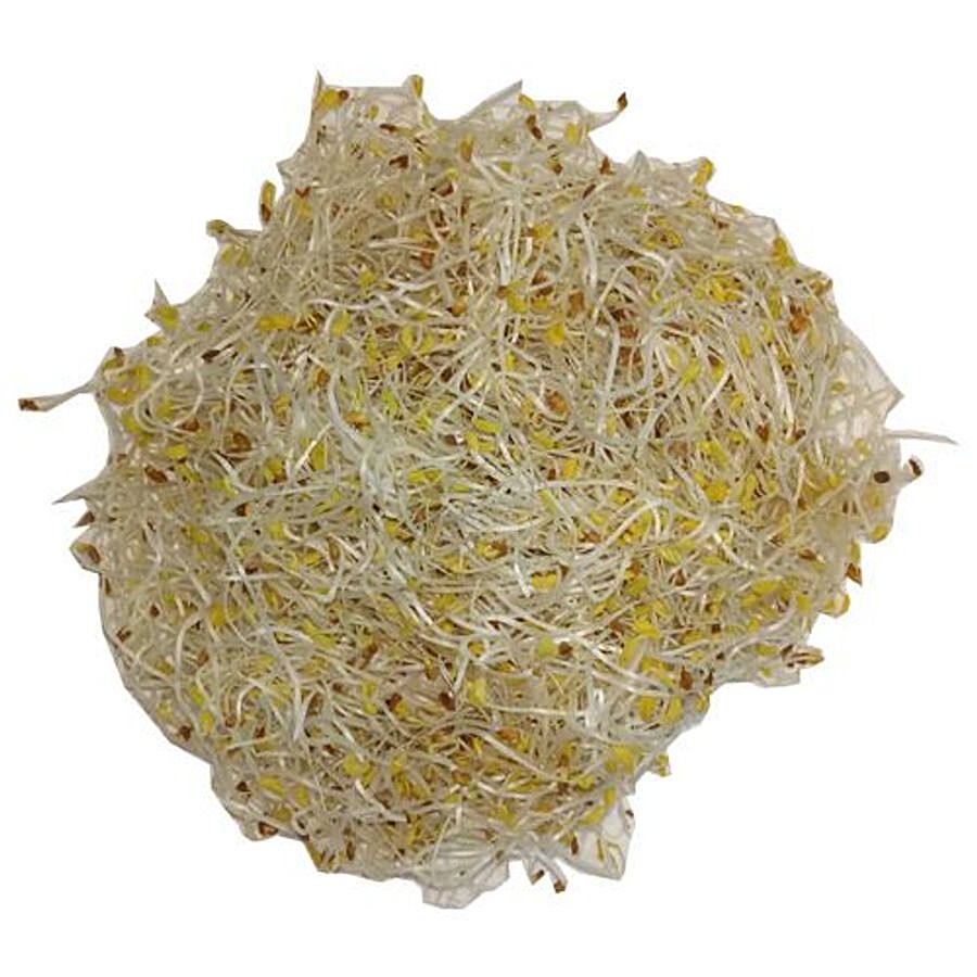 Trikaya Alfalfa Sprouts