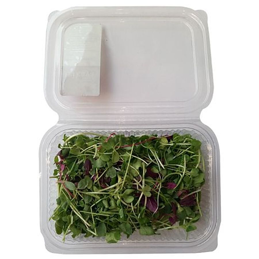 Trikaya Microgreen Mix