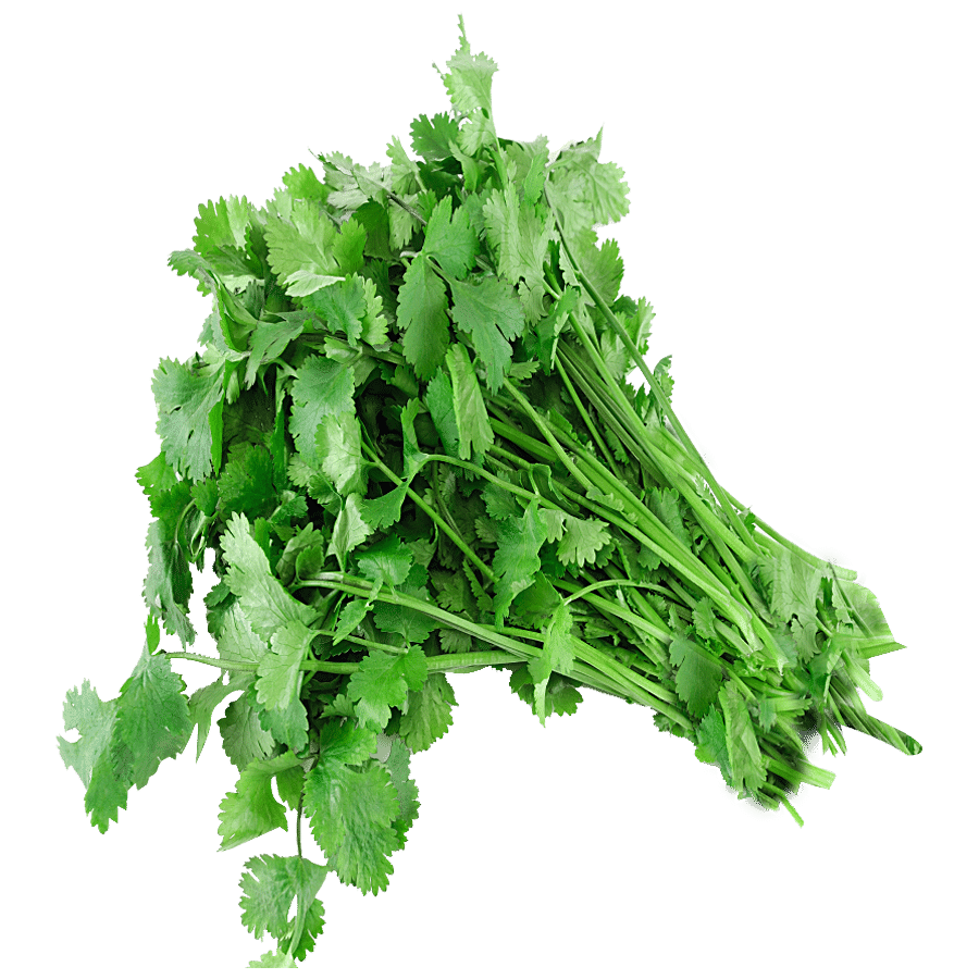 fresho! Coriander/Cilantro - Hydroponically Grown