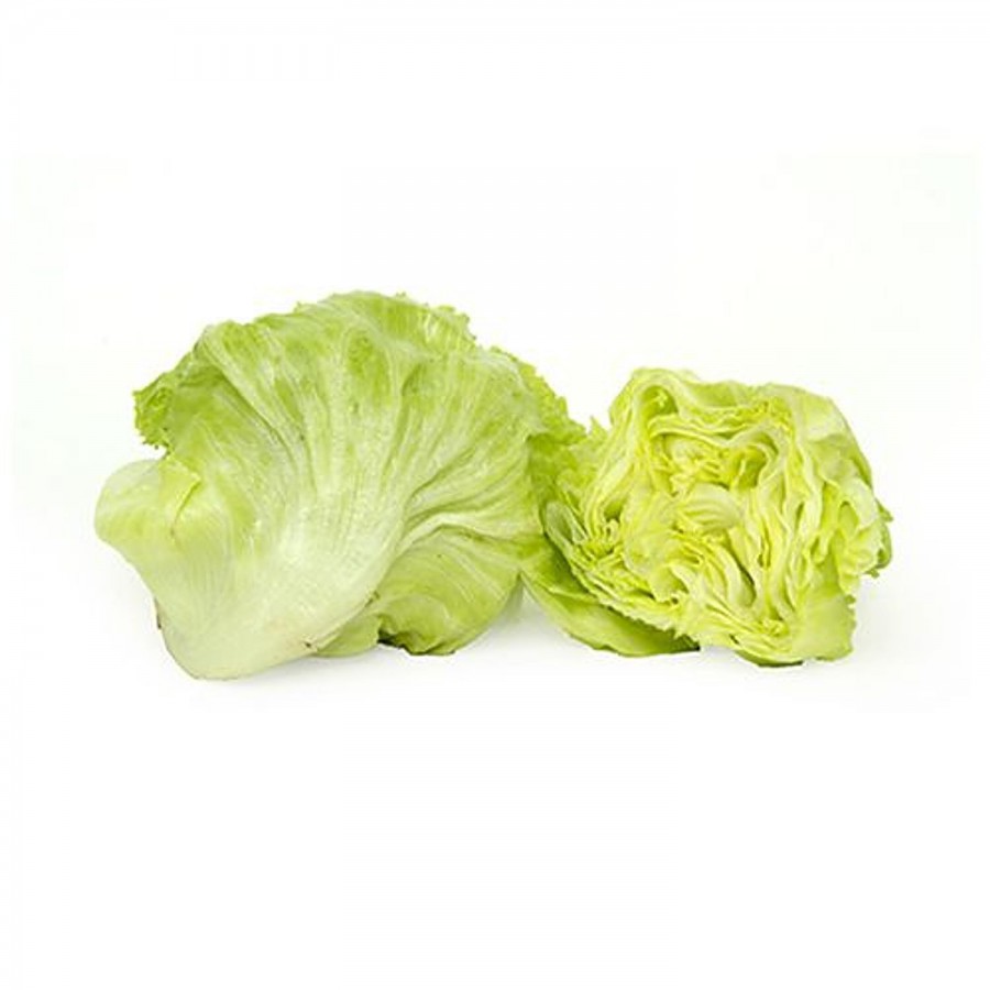 fresho! Lettuce -Iceberg