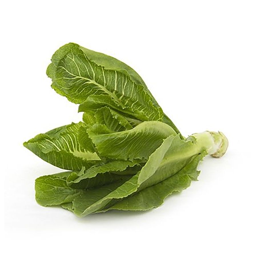 fresho! Lettuce - Lolla Rosa Each Premium