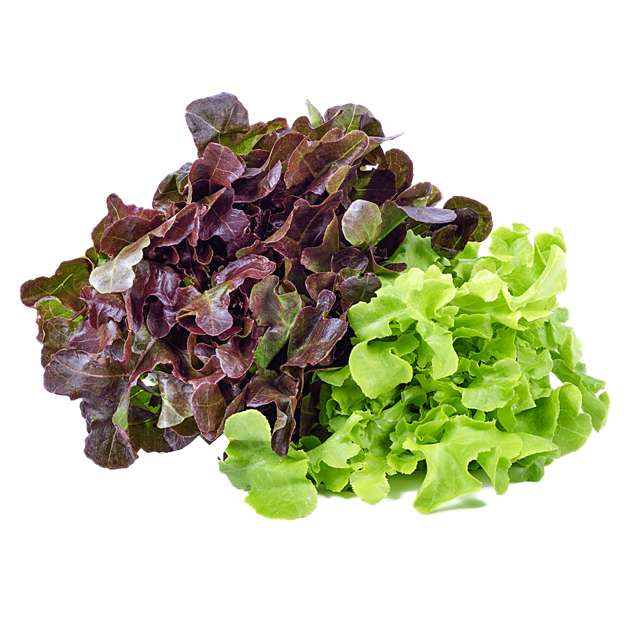 fresho! Lettuce Mix - Hydroponically Grown