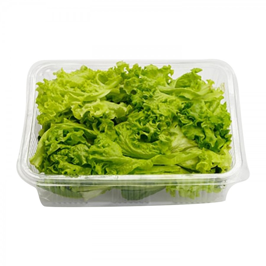 fresho! Lettuce Mix - Hydroponically Grown