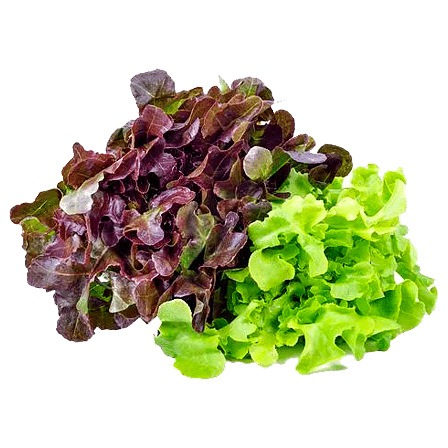 fresho! Lettuce Mix - Hydroponically Grown