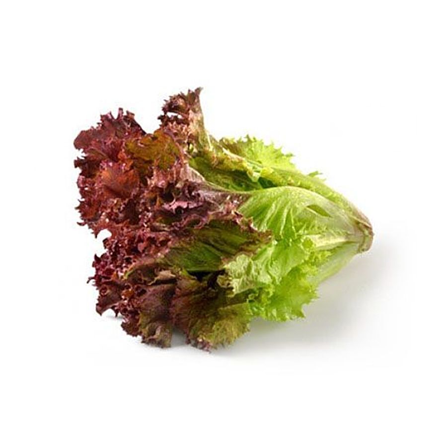 fresho! Lettuce - Red