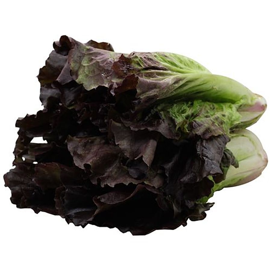 fresho! Lettuce - Red Each Premium