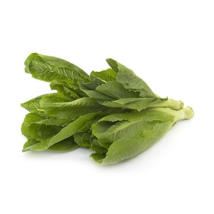 fresho! Lettuce - Romaine