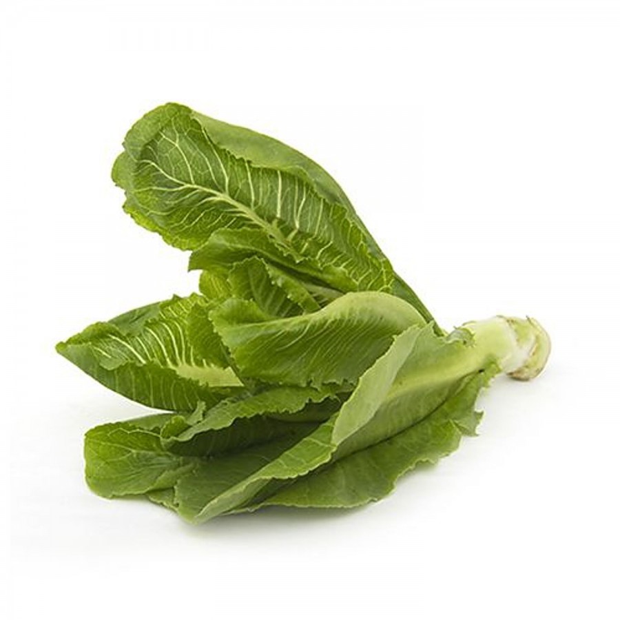 fresho! Lettuce - Romaine Each Premium