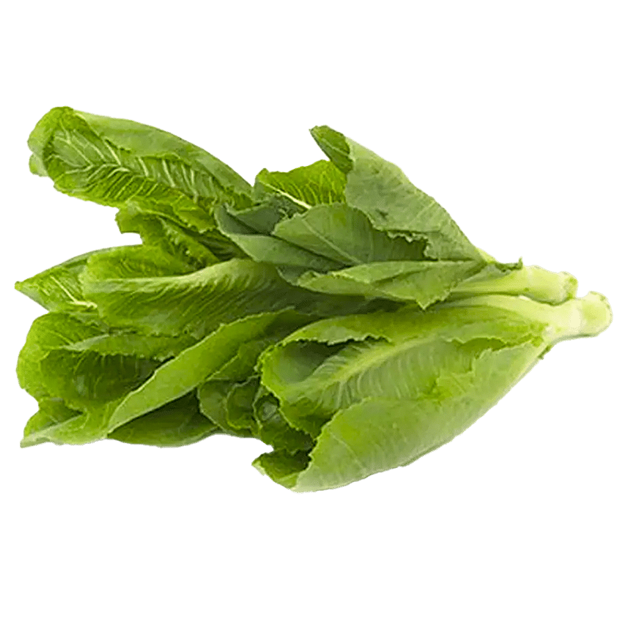 fresho! Lettuce - Romaine Premium