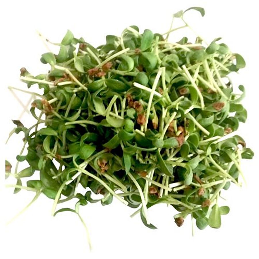 fresho! Microgreen Methi