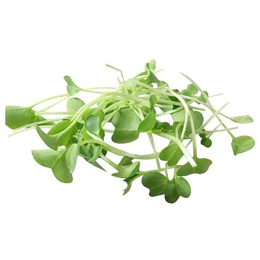 fresho! Microgreen Radish