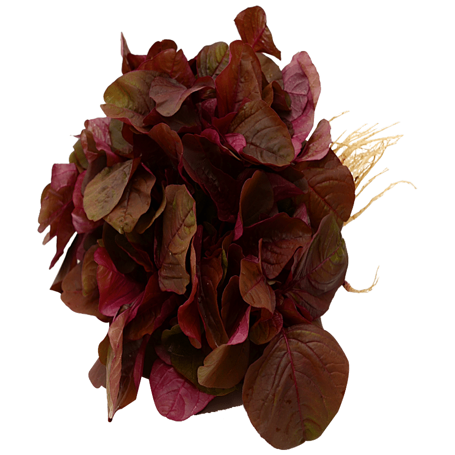 fresho! Red Amaranth - Hydroponically Grown