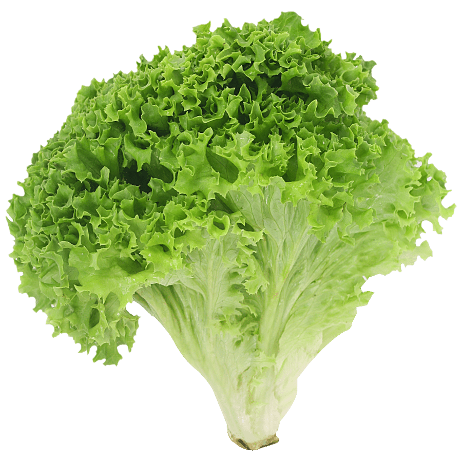 fresho! Summer Crisp Lettuce - Hydroponically Grown With Live Roots