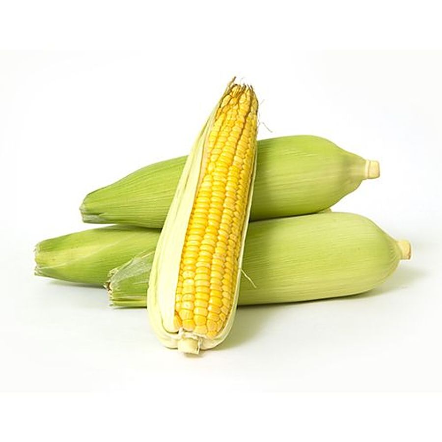 fresho! Sweet Corn Premium