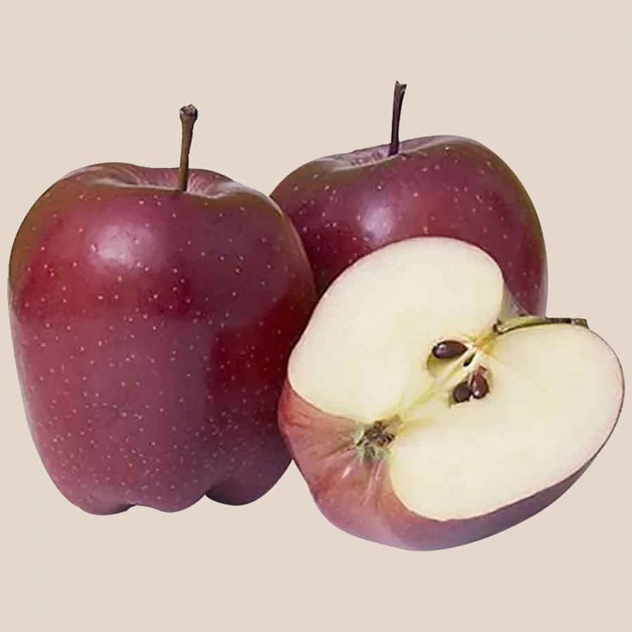 fresho! Apple Red Delicious - Premium