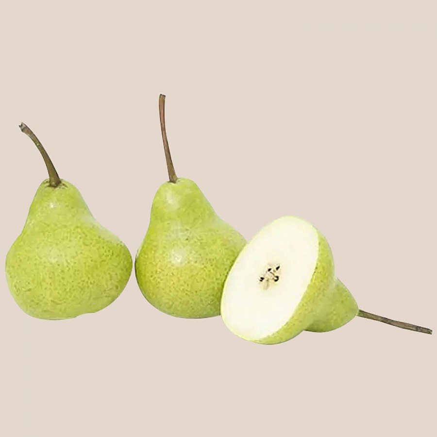 fresho! Indian Pear Premium