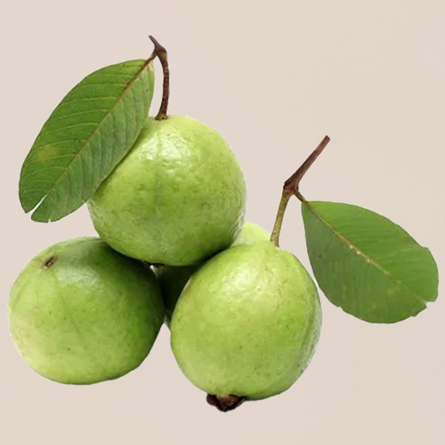 fresho! Guava - Organically Grown (Loose)