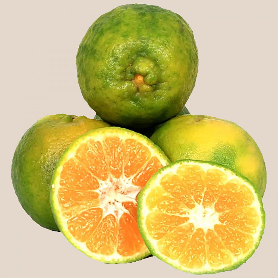 fresho! Orange - Organically Grown (Loose)