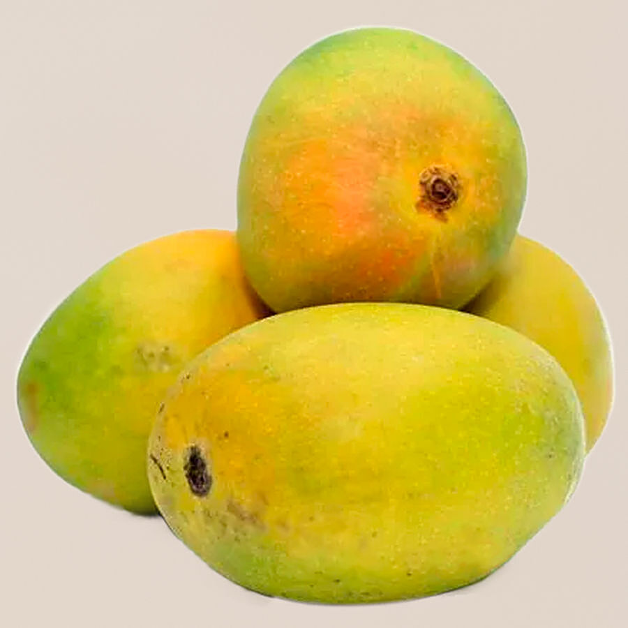 fresho! Alphonso Mango