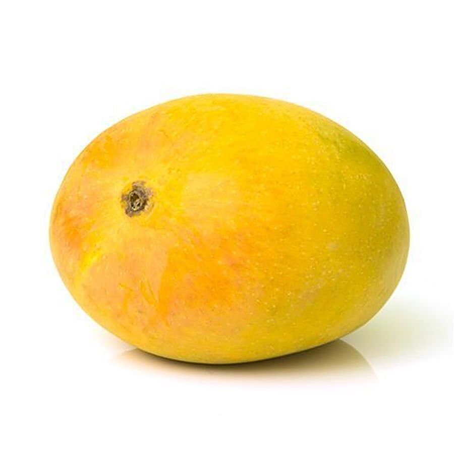 fresho! Alphonso Mango - Ratnagiri