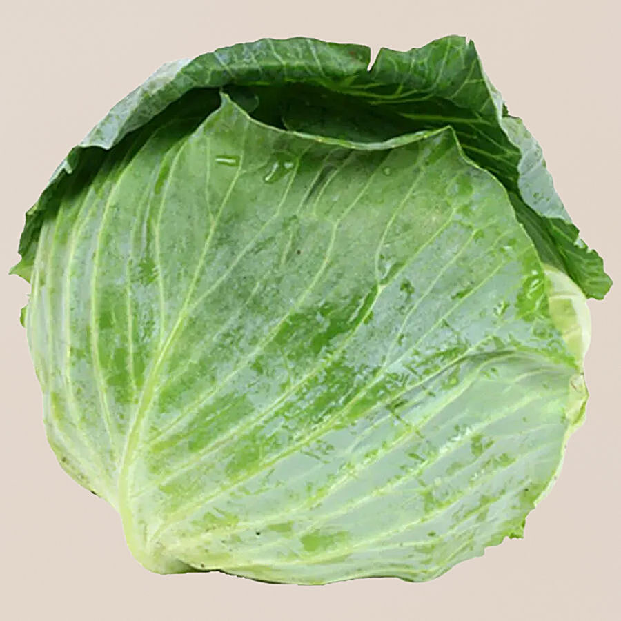 fresho! Cabbage - Small