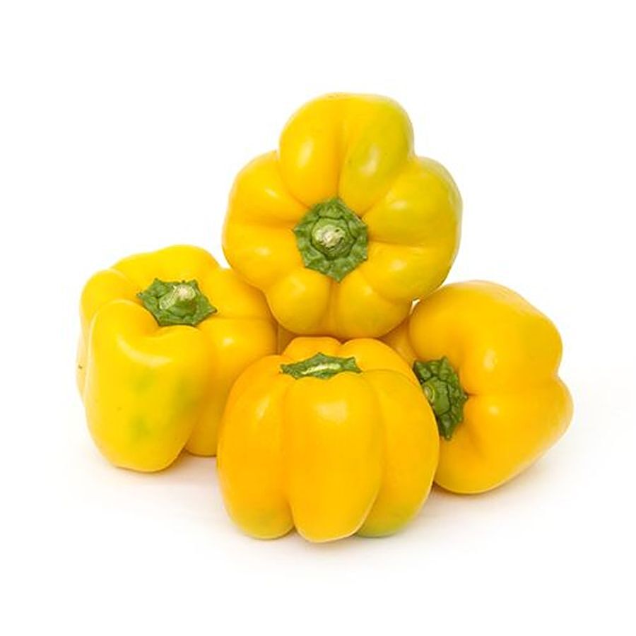 fresho! Capsicum - Yellow (Loose)