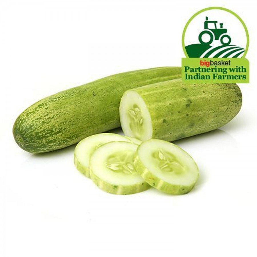 fresho! Cucumber - Direct