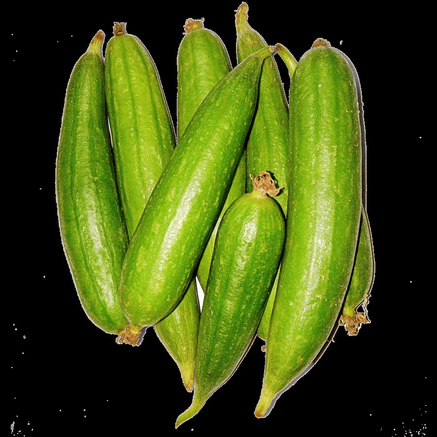 fresho! Ridge Gourd - Small